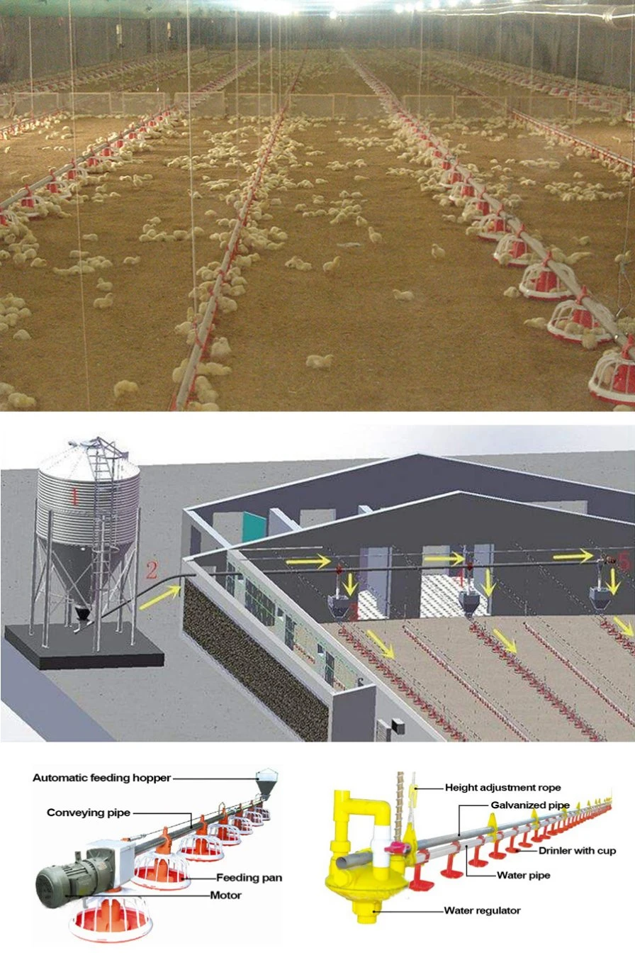 Automatic Agriculture Poultry Farming Equipment for Chicken/Broiler/Breeder/Livestock