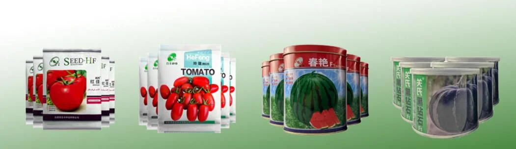 Vegetable Fruit Indeterminate Oval Tomato Seeds