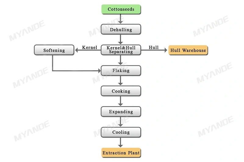 Turnkey Cotton Seed Oil Pressing Machine and Production Line