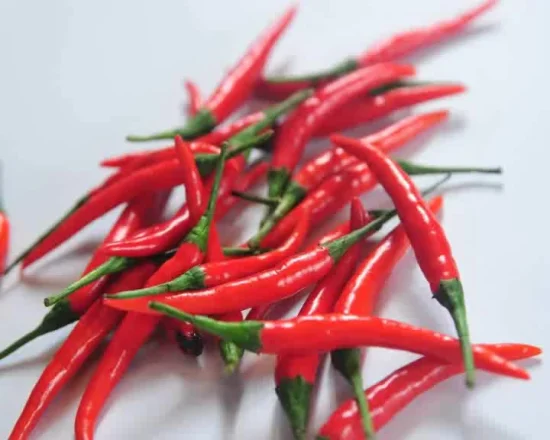 Hot Chilli Seeds Hybrid Vegetable Seed Pepper Seeds for Sowing