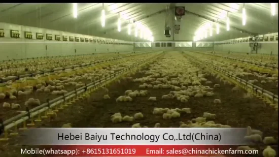 Automatic Agriculture Poultry Farming Equipment for Chicken/Broiler/Breeder/Livestock