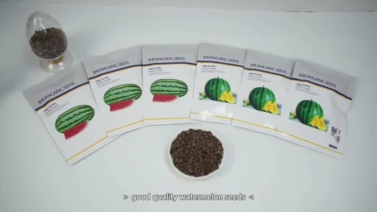 Large Size Seedless Watermelon Seeds Hybrid Vegetable Seed