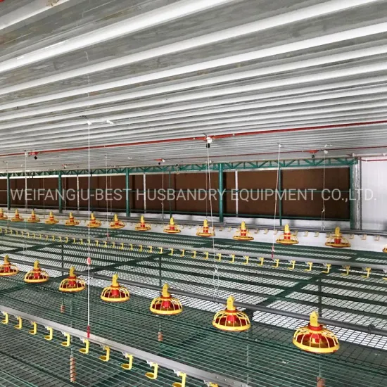 Steel Structure Agriculture House Poultry Feeding Equipment for Chicken