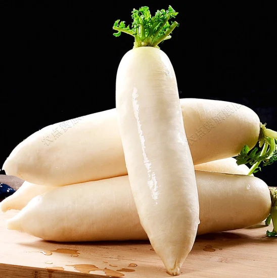 High Quality and High Yield Cold-Resistant White Radish Seeds