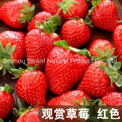 200PCS/Bag Hybrid F1 Red Strawberry Seeds for Sowing