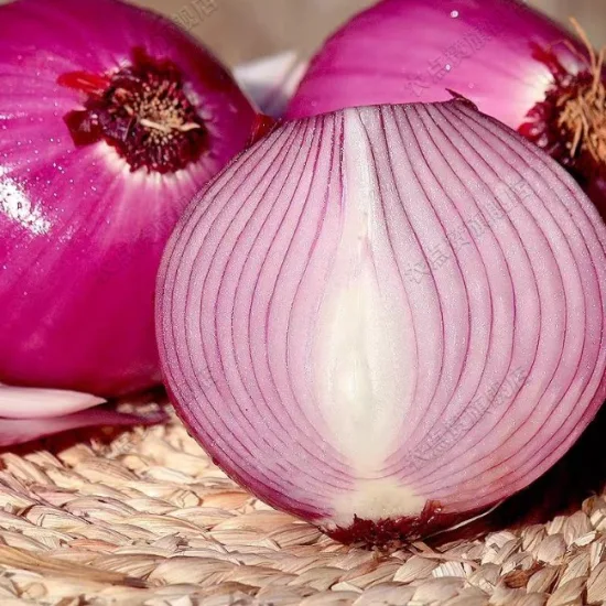 High Yield Healthy Delicious Purple Onion Seeds