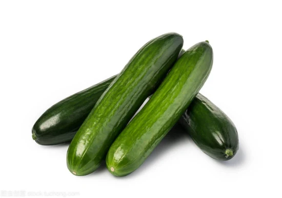 Hot Tolerant Wholesale Cucumber Seed Vegetable Seeds for Sowing