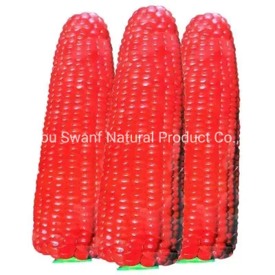 50g/Pack Hybrid F1 Edible Fruit Growing Red Corn Seeds for Planting