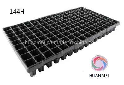 PS Seed Tray with 144 Counts Vegetable Flower Forestry Seedling