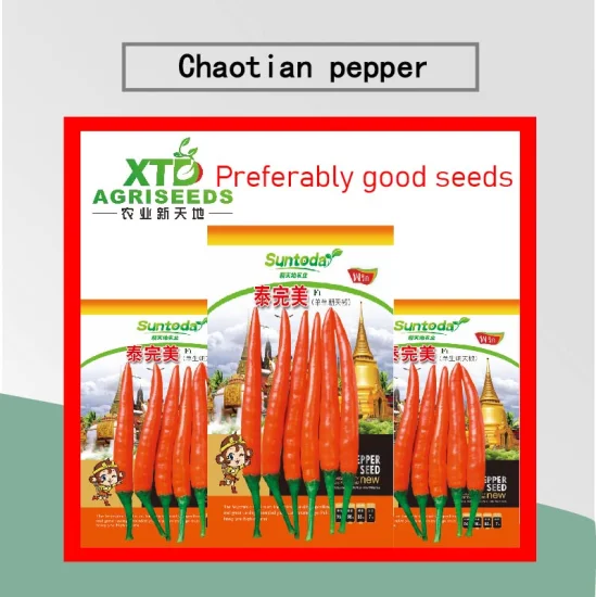 Suntoday Red Hot Pepper Chilli Capsicum Seeds