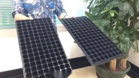 Indoor Farm Good Quality Hard Plastic Rice Seedling Tray for Rice Paddy Seed Nursery Sowing Soilless Cultivation and Hydroponic Systems